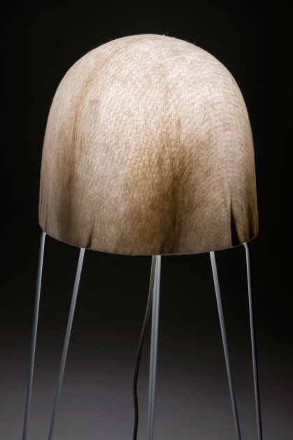 b8fa6c_f9a5756c9c914037ba03ec5e37859455