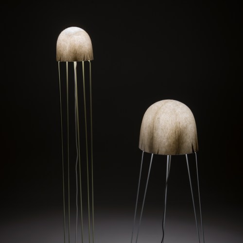 Lorraine Mary Bracken_DSC1349 (3)